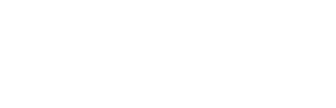 Gilded New York